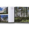 aalto-paimio-aukeama3