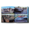 SITE: Architecture as Art sample page