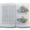 PlanningEuropes-auk-min Planning Europe's Capital Cities: Aspects of Nineteenth Century Urban Development by Thomas Hall