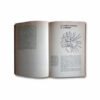 Charles Jencks, Modern Movements in Architecture, 1973