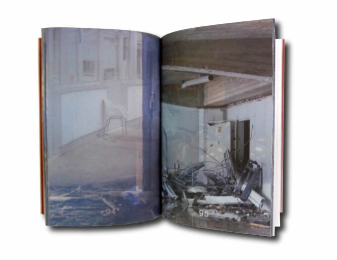 LSNNG-Stripped-Frame-auk