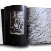 Josef-Sudek-auk
