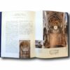 Photo showing a sample spread of the book Icons of Renaissance Architecture